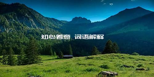 知心着意 词语解释